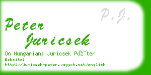 peter juricsek business card